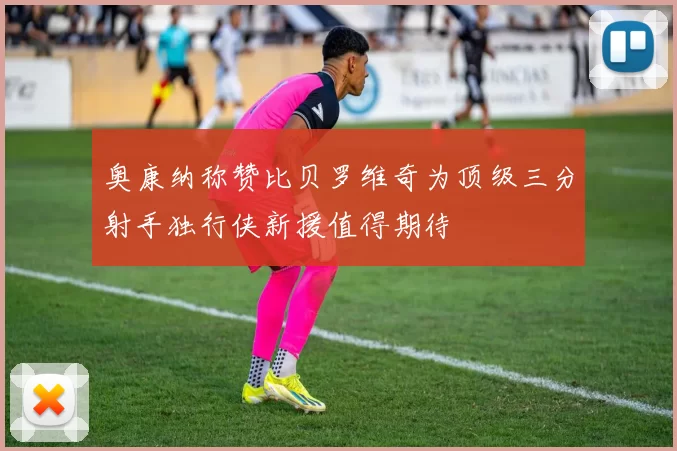 奥康纳称赞比贝罗维奇为顶级三分射手独行侠新援值得期待