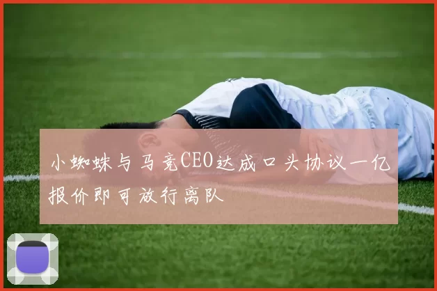 小蜘蛛与马竞CEO达成口头协议一亿报价即可放行离队
